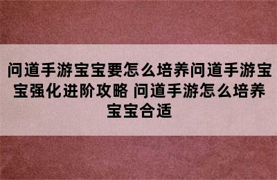 问道手游宝宝要怎么培养问道手游宝宝强化进阶攻略 问道手游怎么培养宝宝合适